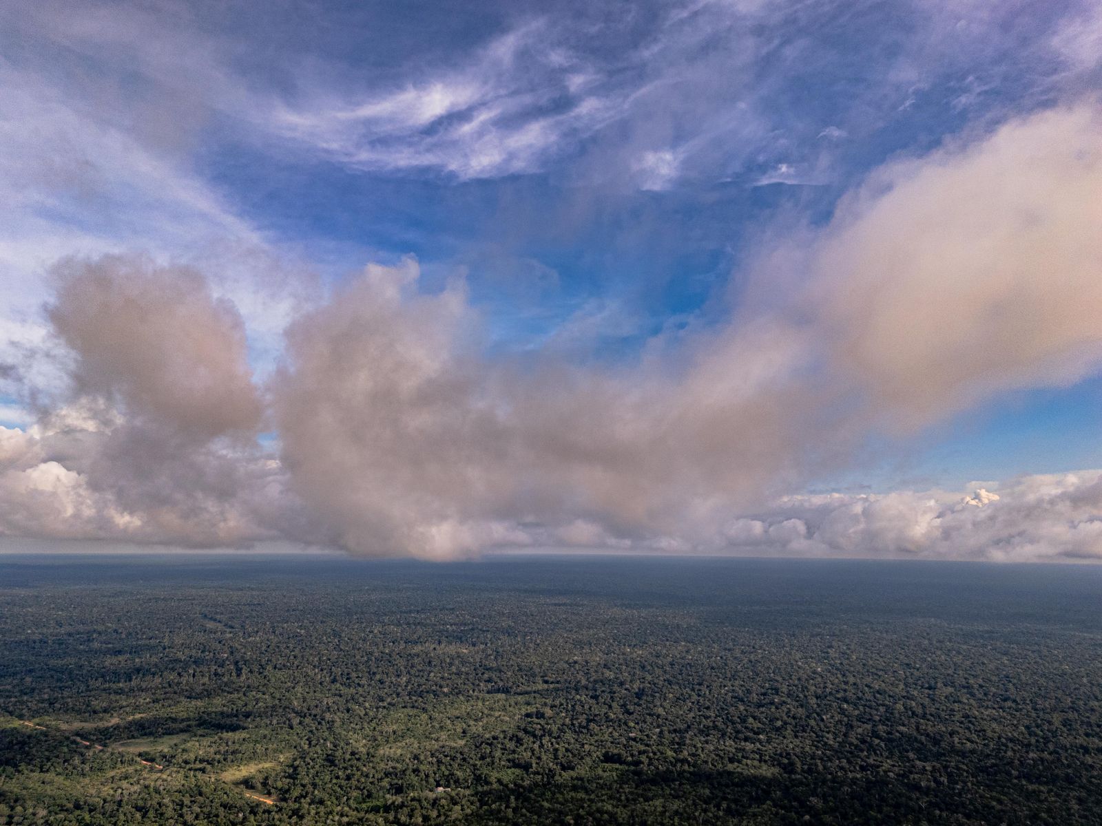 Rain clouds moving over the forest