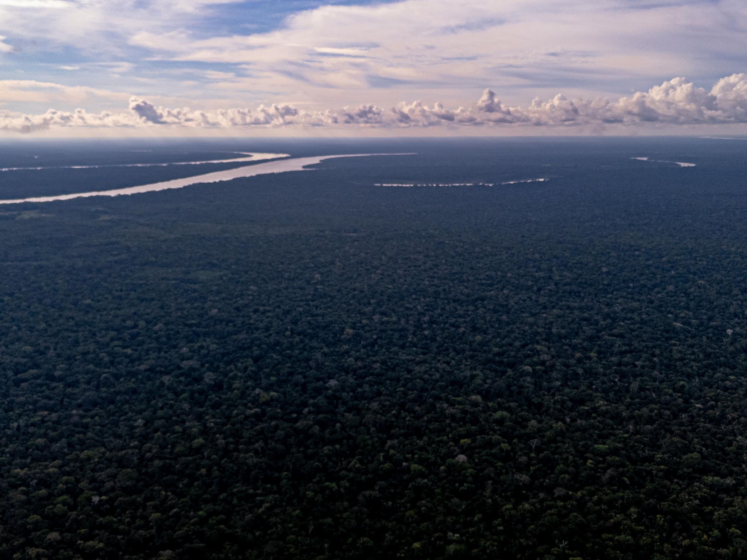 Amazon canopy from the air, Loreto; a river on the horizon